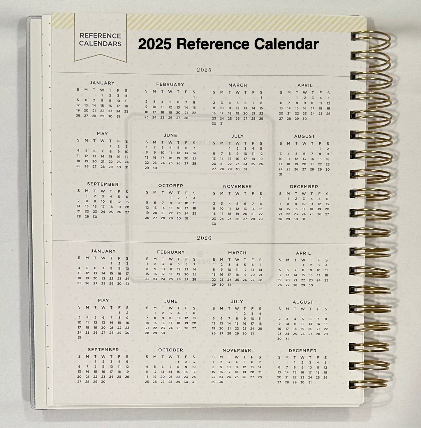 Day Designer 2025 | Large 8x10 | Daily/Monthly Planner & Gold Pen Set | Yellow