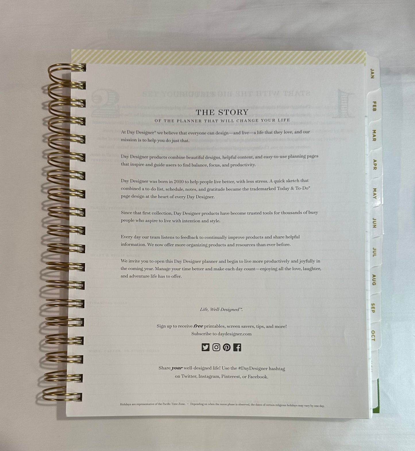 Day Designer 2025 | Large 8x10 | Daily/Monthly Planner & Gold Pen Set | Yellow