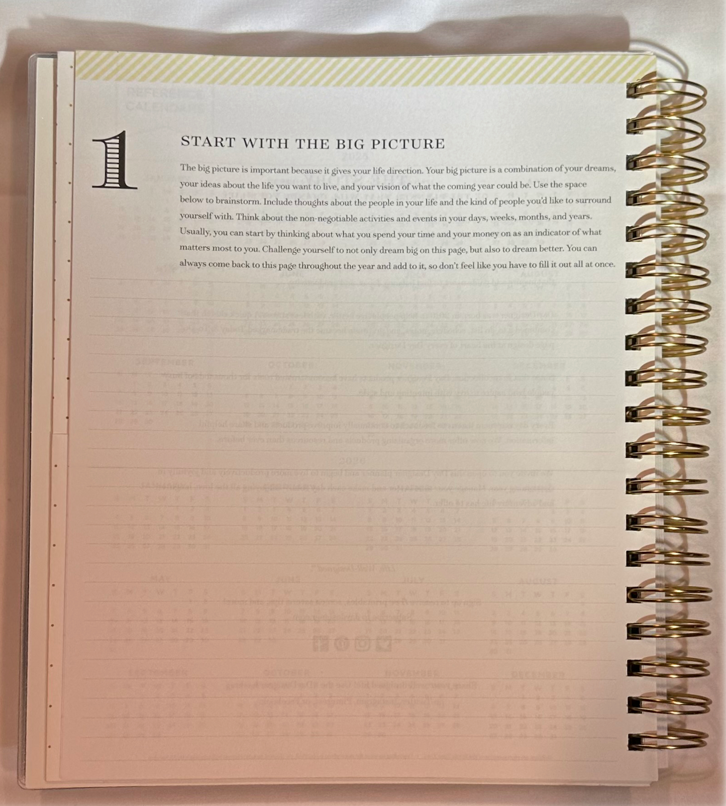Day Designer 2025 | Large 8x10 | Daily/Monthly Planner & Gold Pen Set | Yellow