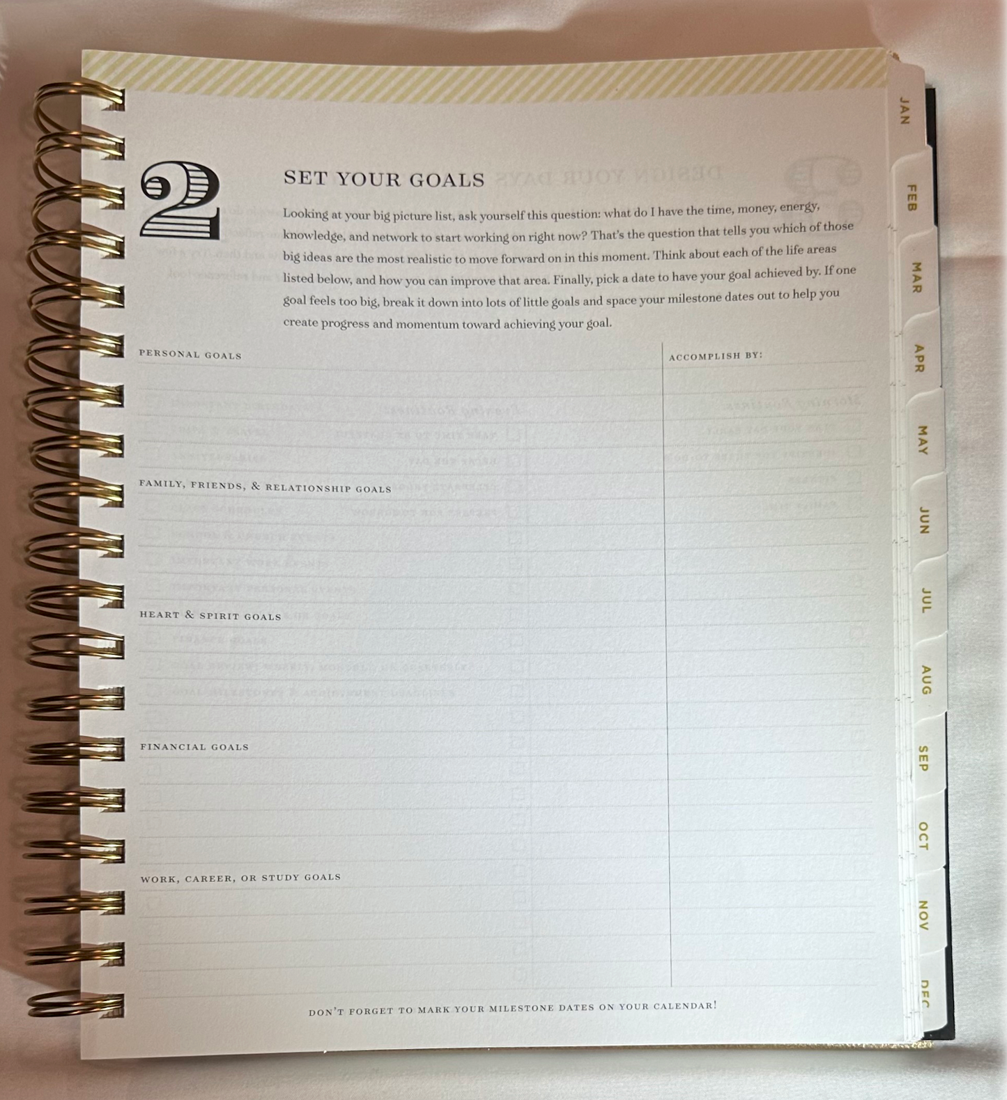 Day Designer 2025 | Large 8x10 | Daily/Monthly Planner & Gold Pen Set | Yellow