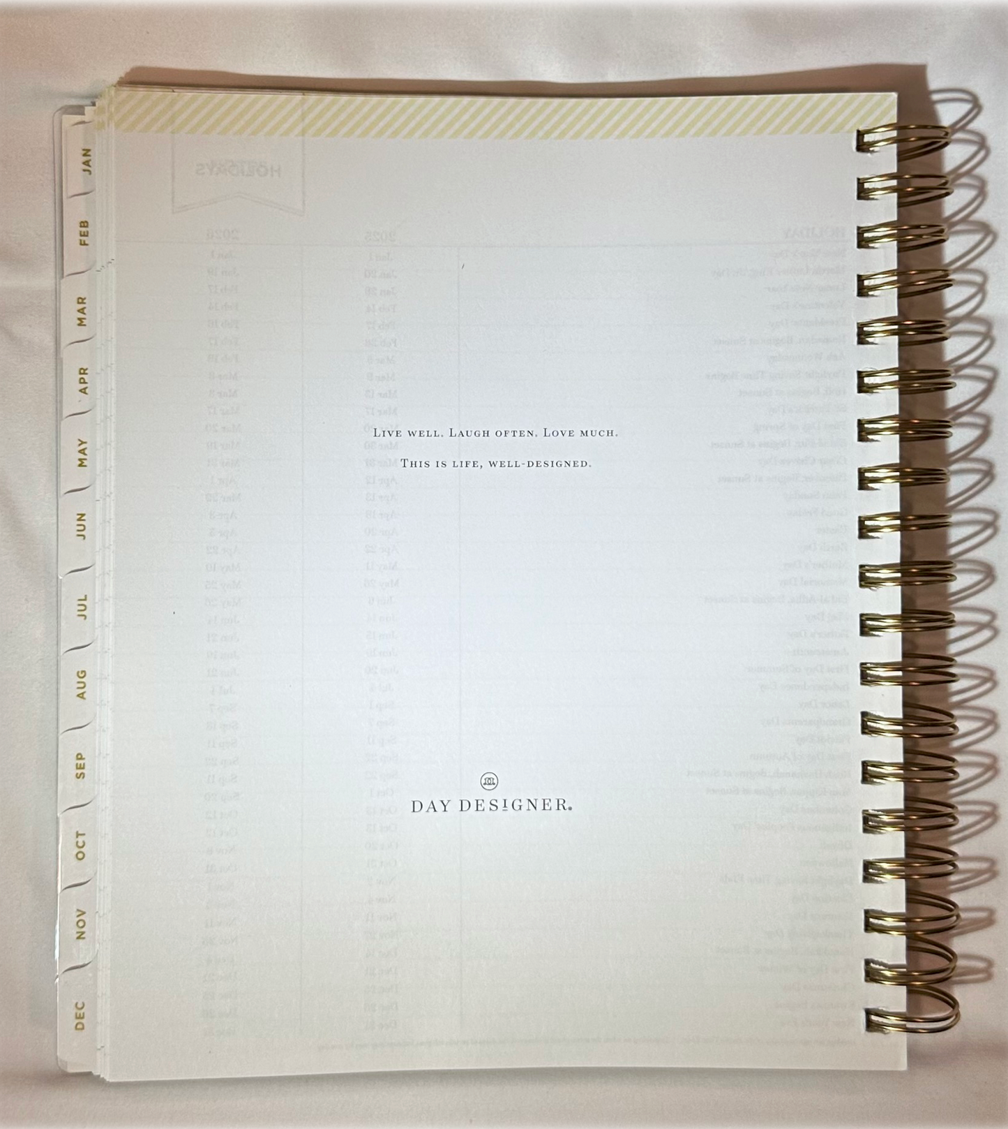 Day Designer 2025 | Large 8x10 | Daily/Monthly Planner & Gold Pen Set | Yellow