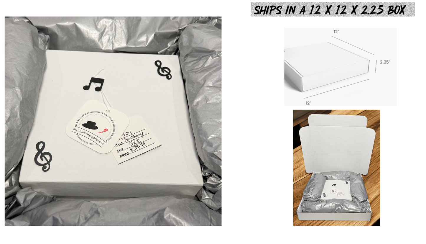 BellaRosaMariaBoutique™ - “Handmade Exclusive” Symphony Musical Décor Shadow Box