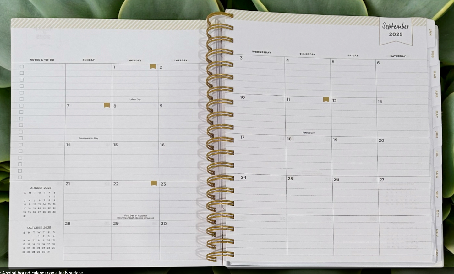 2026 Aurora Tropical Gradient Daily/Monthly Planner Gift Set – BellaRosaMariaBoutique™ Exclusive