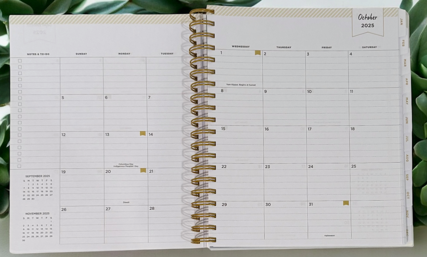2026 Aurora Tropical Gradient Daily/Monthly Planner Gift Set – BellaRosaMariaBoutique™ Exclusive