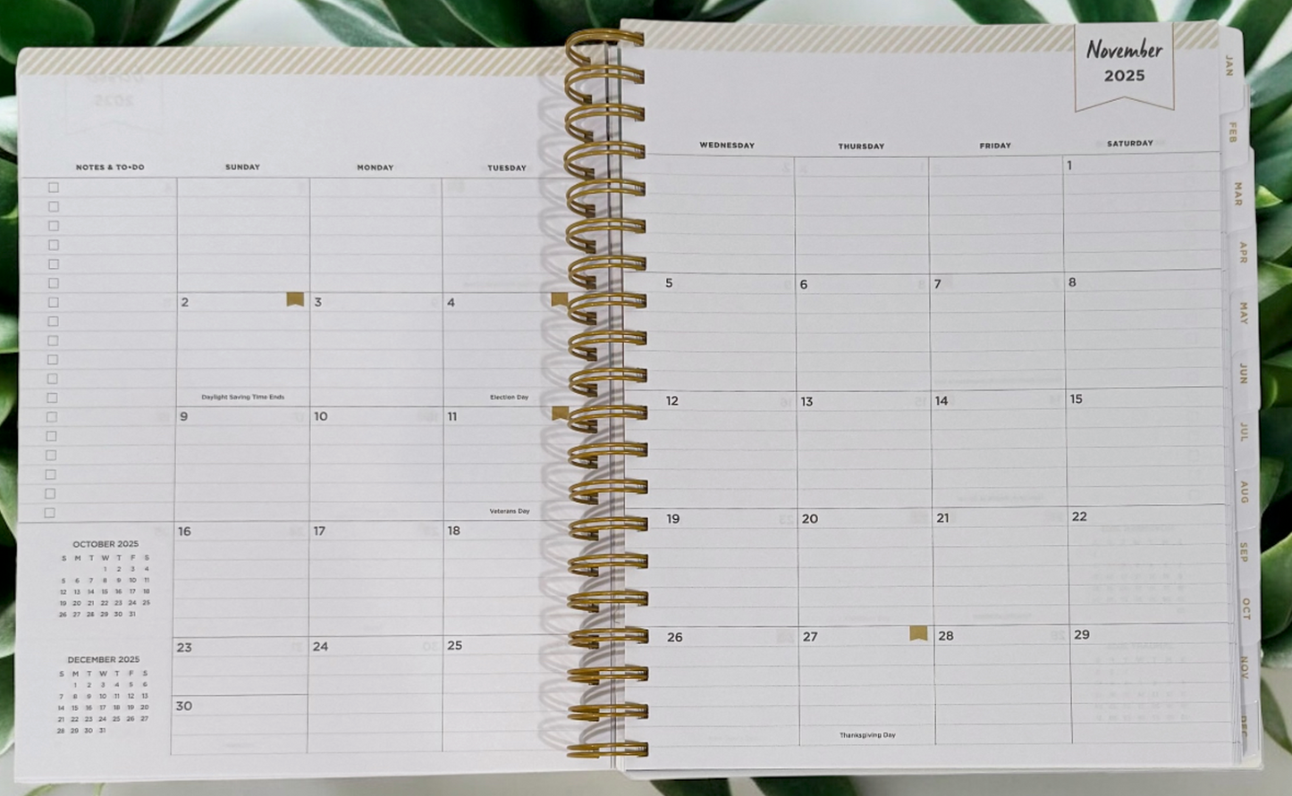 2026 Aurora Tropical Gradient Daily/Monthly Planner Gift Set – BellaRosaMariaBoutique™ Exclusive