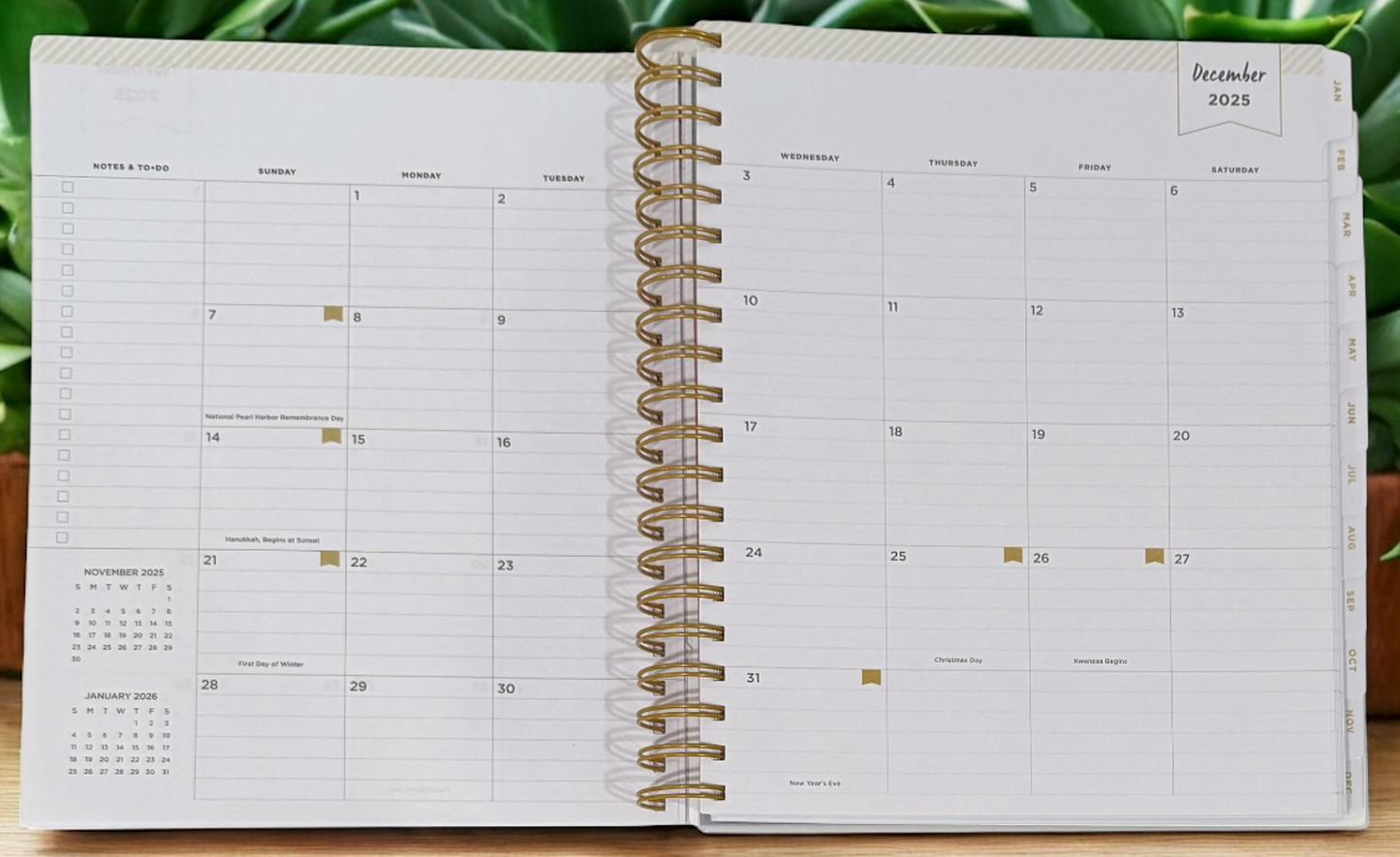 2026 Aurora Tropical Gradient Daily/Monthly Planner Gift Set – BellaRosaMariaBoutique™ Exclusive