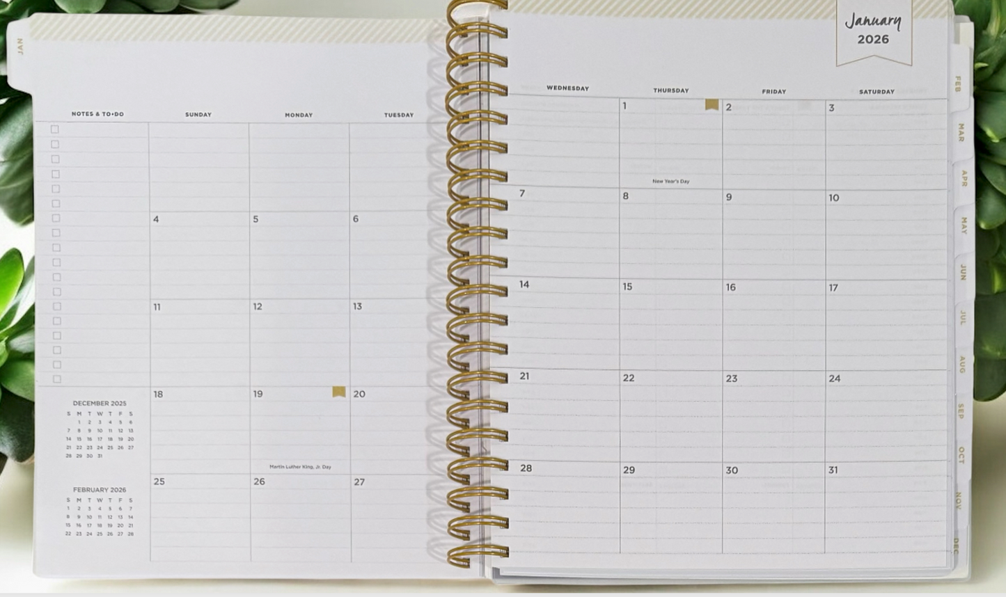 2026 Aurora Tropical Gradient Daily/Monthly Planner Gift Set – BellaRosaMariaBoutique™ Exclusive