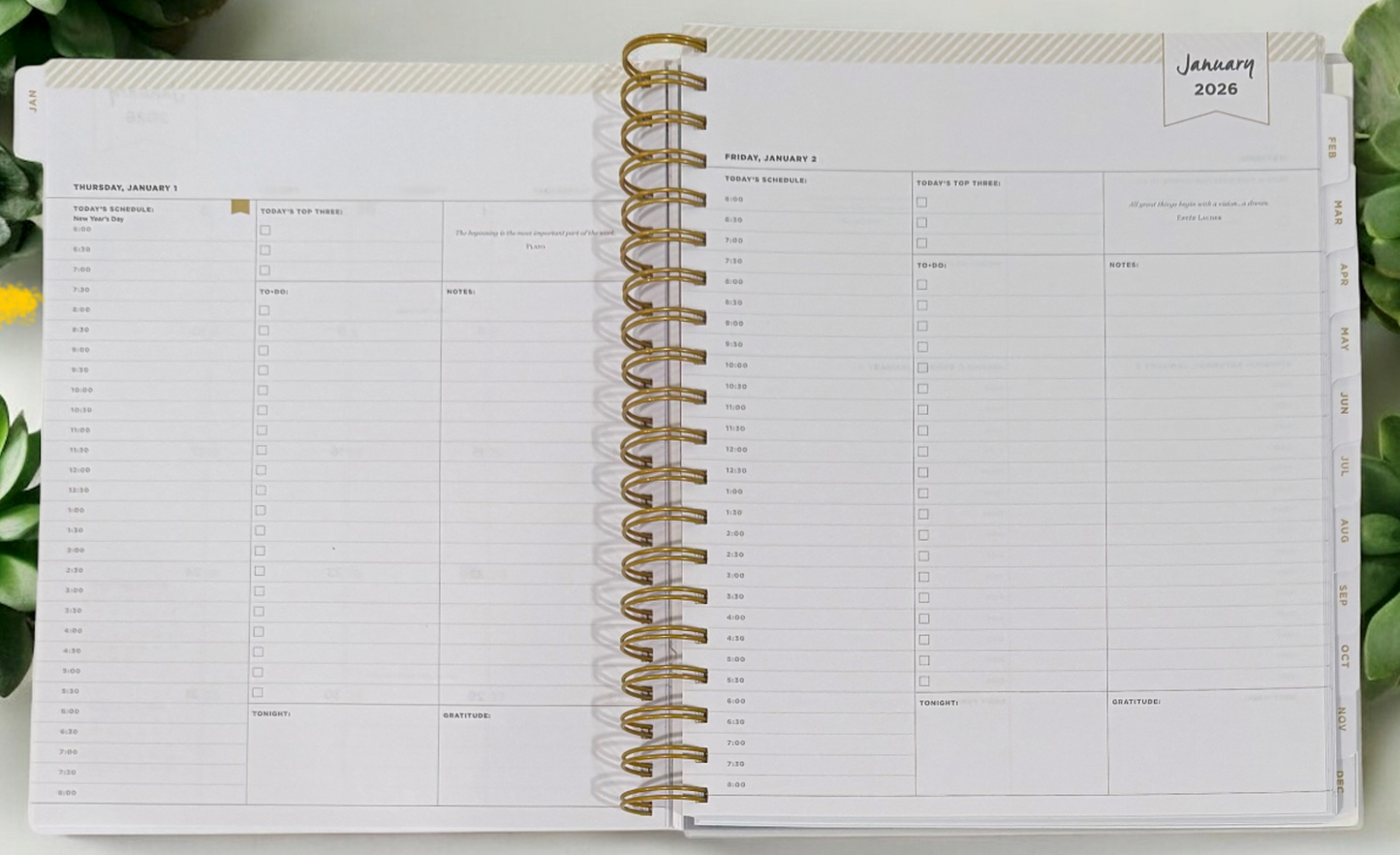 2026 Aurora Tropical Gradient Daily/Monthly Planner Gift Set – BellaRosaMariaBoutique™ Exclusive