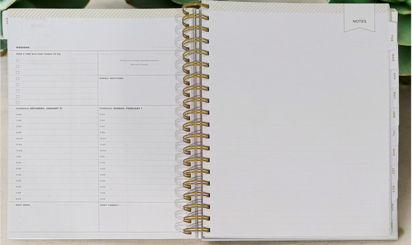2026 Aurora Tropical Gradient Daily/Monthly Planner Gift Set – BellaRosaMariaBoutique™ Exclusive