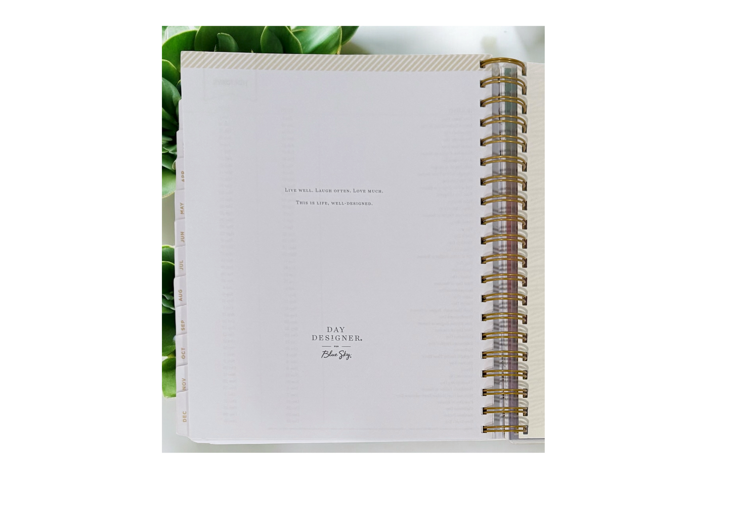 2026 Aurora Tropical Gradient Daily/Monthly Planner Gift Set – BellaRosaMariaBoutique™ Exclusive